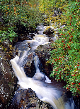 Stream, Glen Affric, Northwest Highlands, Scotland, UK 