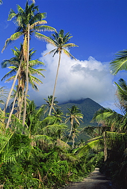 Landscape, Nevis, Leeward Islands, West Indies, Caribbean, Central America