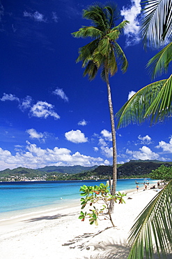 Grand Anse beach, Grenada, Windward Islands, West Indies, Caribbean, Central America