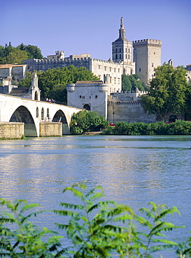 View across River Rhone to bridge and Papal Palace, Avignon, UNESCO World Heritage Site, Provence, France, Europe