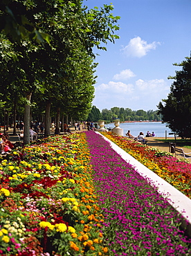 Summer flowers at Balatonfured on Lake Balaton, Hungary, Europe