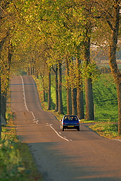 Car on a tree lined rural road in France, Europe