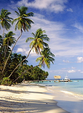 Jetty off Pigeon Point, Tobago, Caribbean 