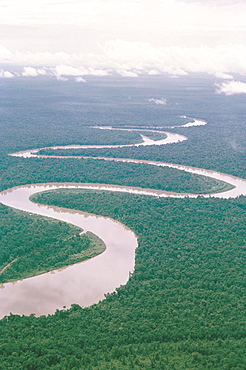 Aerial view of river and forest, West Irian (Irian Jaya). Indonesia, Southeast Asia, Asia