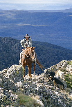 Man on horse with dogs, 'the man from Snowy River', Victoria, Australia, Pacific