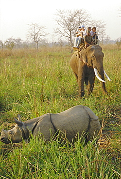 Tourists on elephant back sighting rhino, Chitwan National Park, Nepal
