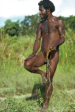 A Dani man, naked except for a penis gourd, in the Highlands of Papua New Guinea, Pacific Islands, Pacific