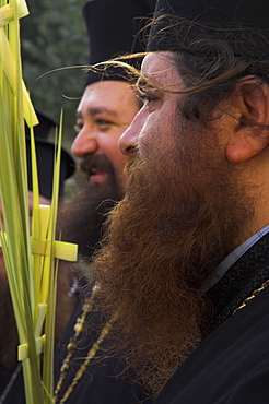 Two Greek priests holding palms during Orthodox Easter Palm procession from Betphage to the Old City, Mount of Olives, Jerusalem, Israel, Middle East