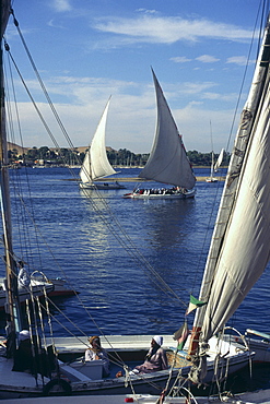 Feluccas on the River Nile, Aswan, Upper Egypt, North Africa, Africa