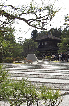 Pine tree in foreground, Zen garden symbolizing Mount Fuji and the sea, Silver Pavilion, Ginkaku ji temple, Kyoto, Kansai, Honshu, Japan, Asia