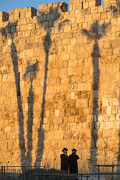 Two Orthodox Jewsh with palm tree shadows in background along the Old City walls, Jerusalem Old City, Israel, Middle East