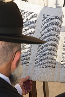 Jew reading from a Torah scroll, Western Wall, Jerusalem Old city, Israel, Middle East