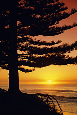 Sunrise, Pine Beach, Gisborne, East Coast, North Island, New Zealand, Pacific