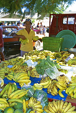 Bananas for sale, local market, Avarua, Rarotonga, Cook Islands, Polynesia, South Pacific, Pacific