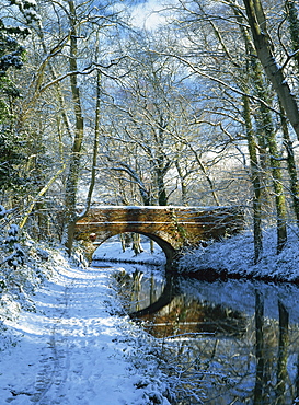 Snow on the Basingstoke Canal, Stacey's bridge and towpath, Winchfield, Hampshire, England, United Kingdom, Europe