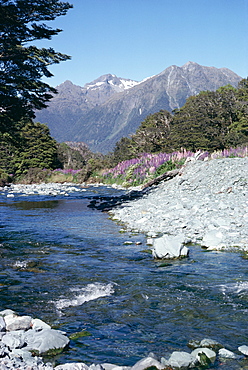 Cascade Creek and Stuart Mountains, South Island, New Zealand, Pacific