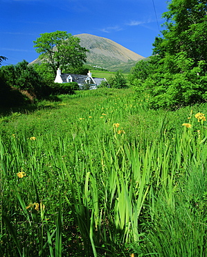 Cottage and Red Cuillins at Torrin, Cuillin Hills, Isle of Skye, Highlands Region, Scotland, UK, Europe