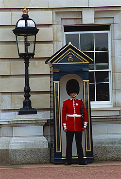 Portrait of a guard in a bearskin busby standing in front of a sentry box outside Buckingham Palace, London, England, United Kingdom, Europe