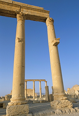 Ruins of the colonnade, Palmyra, UNESCO World Heritage Site, Syria, Middle East