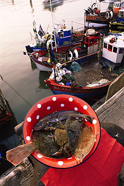 Fish and fishing boats, France, Europe