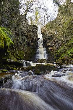 Mill Gill Force waterfall, Askrigg, Wensleydale, North Yorkshire, Yorkshire, England, United Kingdom, Europe