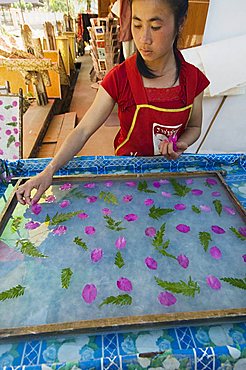 Making paper in village near Luang Prabang, Laos, Indochina, Southeast Asia, Asia