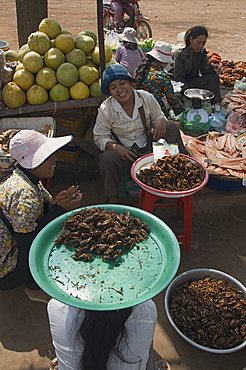 Selling cooked crickets in market, Cambodia, Indochina, Southeast Asia, Asia