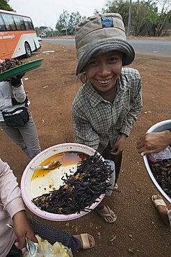 Cooked spiders for sale in market, Cambodia, Indochina, Southeast Asia, Asia