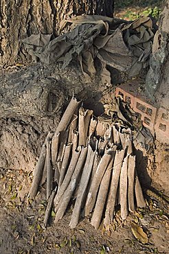 The Killing Fields, Phnom Penh, Cambodia, Indochina, Southeast Asia, Asia