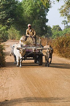 Ox cart, Cambodia, Indochina, Southeast Asia, Asia