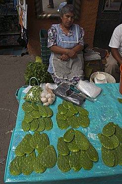 Artisans Market, San Miguel de Allende (San Miguel), Guanajuato State, Mexico, North America