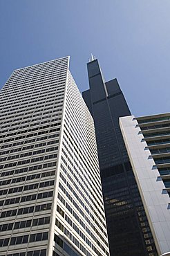 Sears Tower, Chicago, Illinois, United States of America, North America