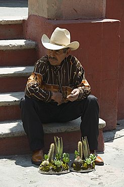 San Miguel de Allende (San Miguel), Guanajuato State, Mexico, North America