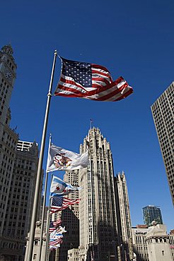 Flags, Chicago, Illinois, United States of America, North America