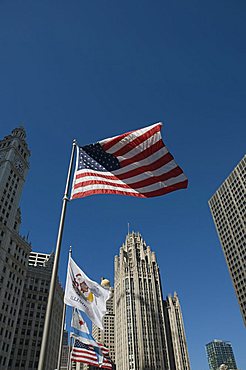 The Tribune Tower Building, Chicago, Illinois, USA