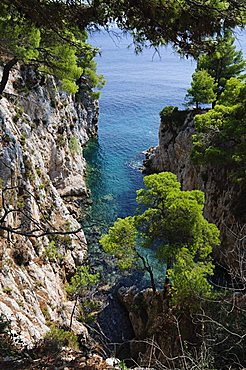 Near Agnotas, Skopelos, Sporades Islands, Greek Islands, Greece, Europe