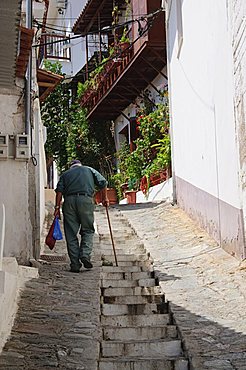 Hill town of Glossa, Skopelos, Sporades Islands, Greek Islands, Greece, Europe