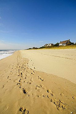 Main Beach, East Hampton, the Hamptons, Long Island, New York State, United States of America, North America