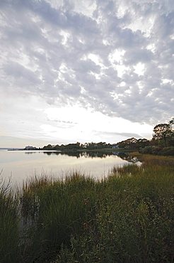 Shelter Island, Long Island, New York State, United States of America, North America