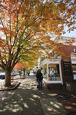 Main Street, East Hampton, the Hamptons, Long Island, New York State, United States of America, North America