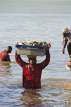 Unloading fishing boats (pirogues), Mbour Fish Market, Mbour, Senegal, West Africa, Africa