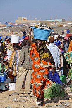 Mbour Fish Market, Mbour, Senegal, West Africa, Africa