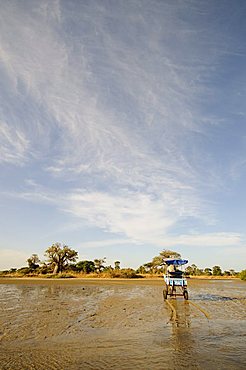 Horse and cart, Sine Saloum Delta, Senegal, West Africa, Africa