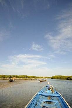 Pirogue or fishing boat on the backwaters of the Sine Saloum Delta, Senegal, West Africa, Africa