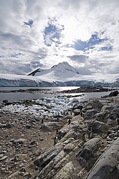 Jougla Point near Port Lockroy, Antarctic Peninsula, Antarctica, Polar Regions