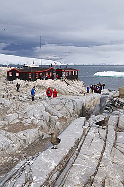 British Base and Post Office, Port Lockroy, Antarctic Peninsula, Antarctica, Polar Regions