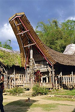 Typical house and granary, Toraja area, Sulawesi, Indonesia