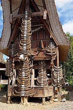 Toraja house, Toraja area, Sulawesi, Indonesia, Southeast Asia, Asia