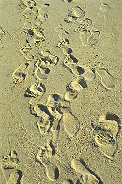 Footprints in sand on beach, Reethi Rah, Maldive Islands, Indian Ocean, Asia