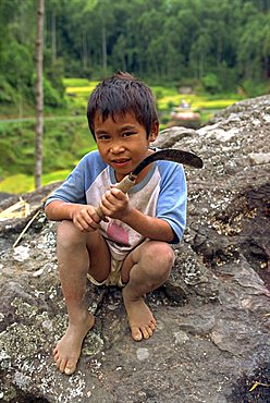 Small boy with scythe, Toraja area, Sulawesi, Indonesia, Southeast Asia, Asia